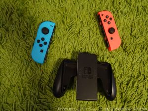 Nintendo Switch - 任天堂 Switch 本体 ジョイコン ストラップのみ