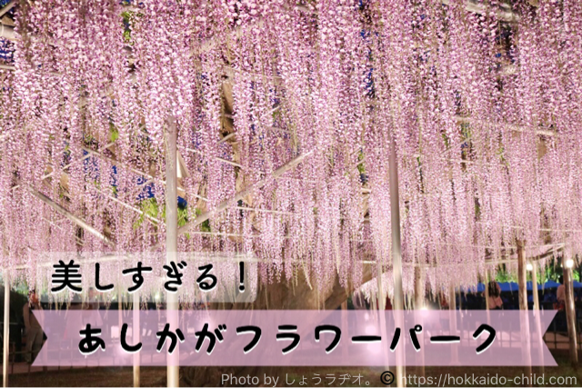 あしかがフラワーパーク の美しすぎる藤に感動 新駅で渋滞解消 割引クーポン情報も 栃木県