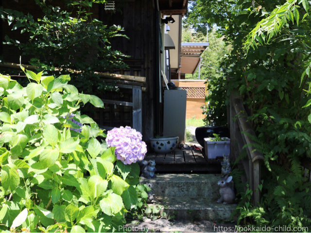 自然薯の里 あじさいの花