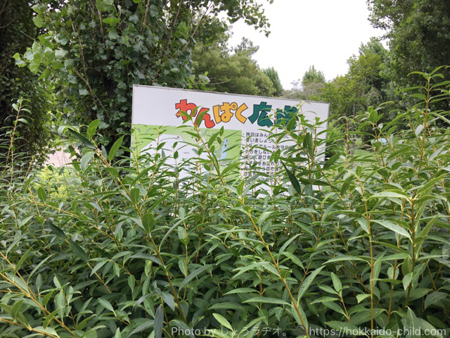 小山市総合運動公園のわんぱく広場