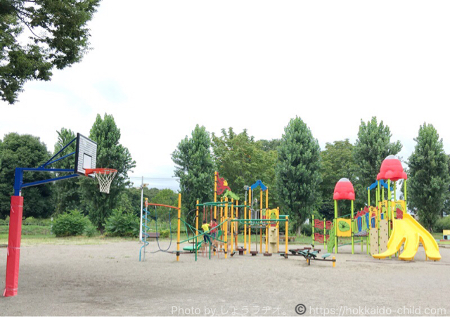 小山市総合運動公園 遊具