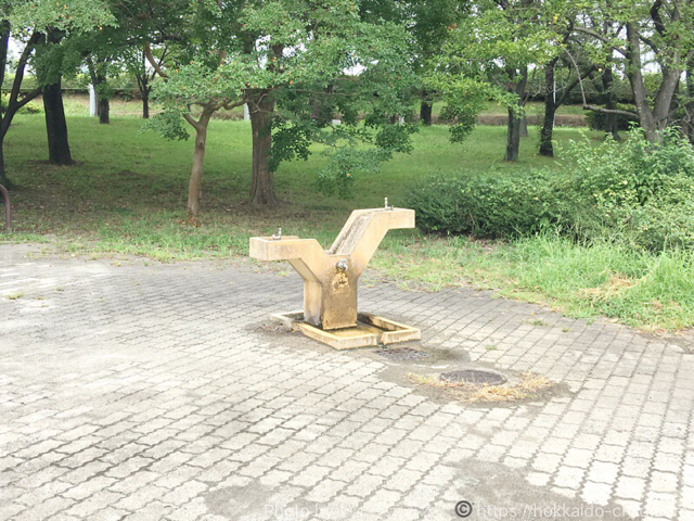 水飲み場