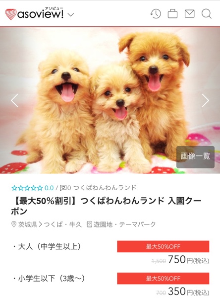 アソビューの割引クーポン
